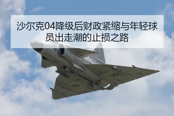 sha-er-ke-jiang-ji-hou-cai-zheng-jin-suo-yu-nian-qing-qiu-yuan-chu-zou-chao-de-zhi-sun-zhi-lu-3-223.jpg