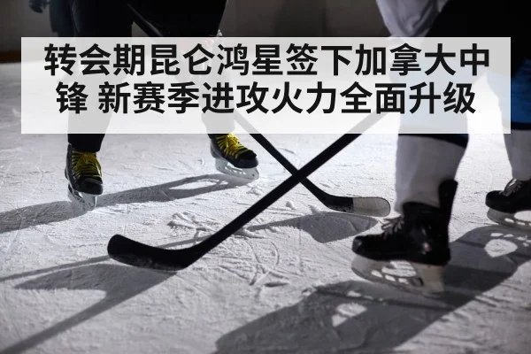 转会期昆仑鸿星签下加拿大中锋 新赛季进攻火力全面升级